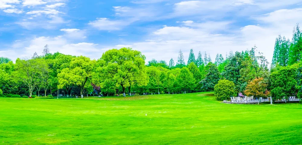 15 Turfgrass Statistics That May Surprise You 15 Turfgrass Statistics That May Surprise You