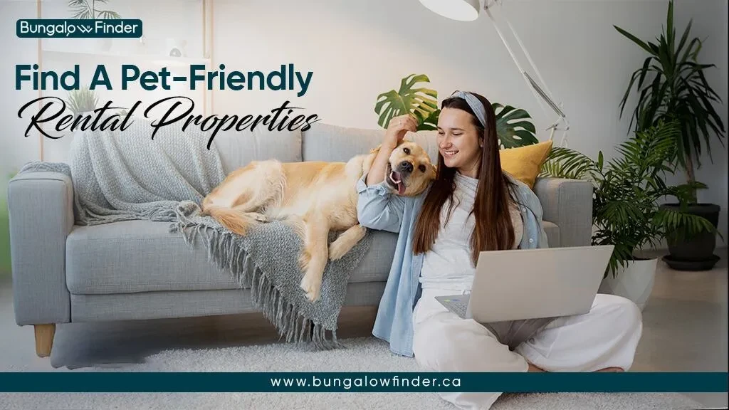 5 Tips for Finding a Pet-Friendly Rental