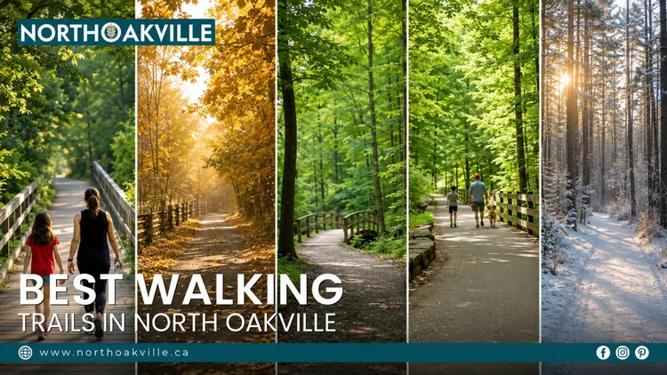 Best walking trails in North Oakville showing scenic paths, forests, and nature through spring, summer, fall, and winter.